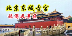 操逼片小逼片日韩小逼片中国北京-东城古宫旅游风景区